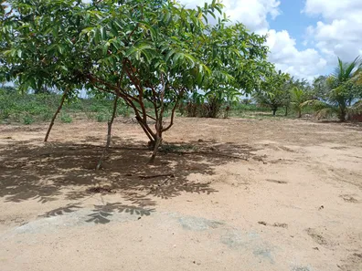 Fazenda / Sítio / Chácara com 3 Quartos à venda, 50m² no , Vera Cruz