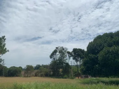 Casa de Condomínio com 1 Quarto à venda, 500m² no Curral, Ibiúna