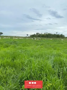 Fazenda / Sítio / Chácara à venda, 1064800m² no Plano Diretor Sul, Palmas