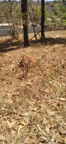 Terreno / Lote / Condomínio à venda, 1007m² no , Capim Branco