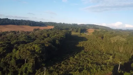 Fazenda / Sítio / Chácara à venda, 44000m² no Área Rural de Almirante Tamandaré, Almirante Tamandaré