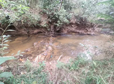 Fazenda / Sítio / Chácara com 4 Quartos à venda, 20000m² no , Brasília