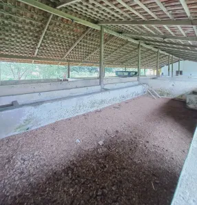 Fazenda / Sítio / Chácara com 11 Quartos à venda, 12800m² no , Pombos