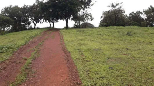 Fazenda / Sítio / Chácara com 4 Quartos à venda, 700m² no , Padre Bernardo