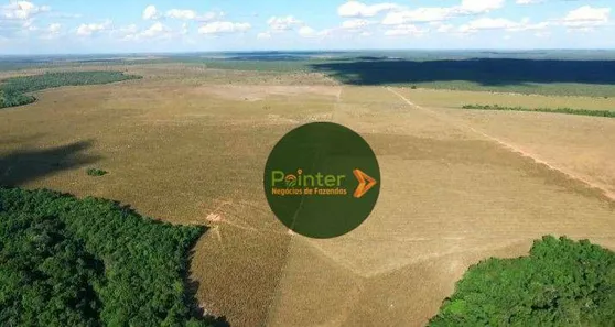 Fazenda / Sítio / Chácara à venda, 173707600m² no Presidente Kennedy, Presidente Kennedy