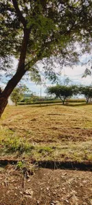 Terreno / Lote / Condomínio à venda, 320m² no Jardim Nova Floresta, Floresta
