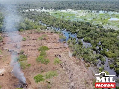 Fazenda / Sítio / Chácara à venda no , Lagoa da Confusão