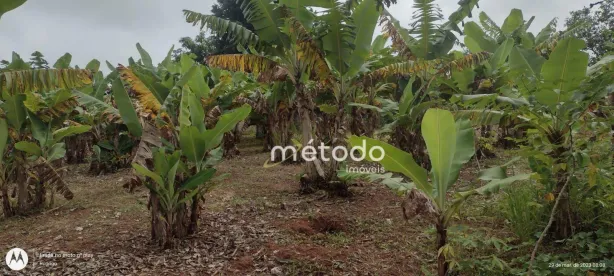 Terreno / Lote / Condomínio à venda, 1000m² no Chacara Santa Branca, Santa Branca