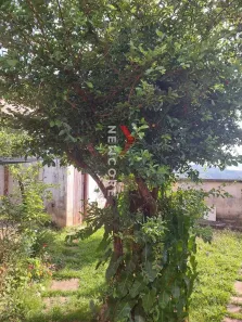 Casa com 4 Quartos à venda, 200m² no Esplanada, Sabará