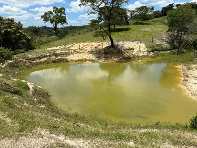 Fazenda / Sítio / Chácara com 4 Quartos à venda, 130000m² no Centro, Florestal