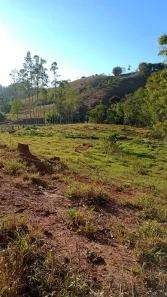 Fazenda / Sítio / Chácara com 1 Quarto à venda, 8800m² no Área Rural de Viçosa, Viçosa