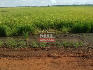 Fazenda / Sítio / Chácara com 3 Quartos à venda, 500m² no , Lagoa da Confusão