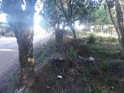 Terreno / Lote / Condomínio à venda, 1000m² no Ortizes, Piedade