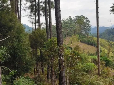Terreno / Lote / Condomínio à venda, 65228m² no São João Batista, São João Batista