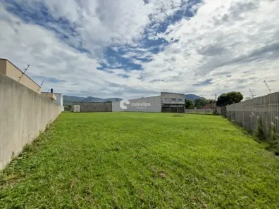 Terreno / Lote / Condomínio à venda, 4497m² no Pé de Plátano, Santa Maria