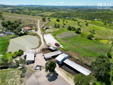 Fazenda / Sítio / Chácara com 3 Quartos à venda, 220000m² no , Sairé