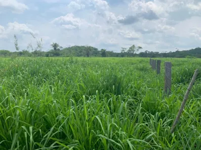 Fazenda / Sítio / Chácara à venda, 16100000m² no , Tacuru