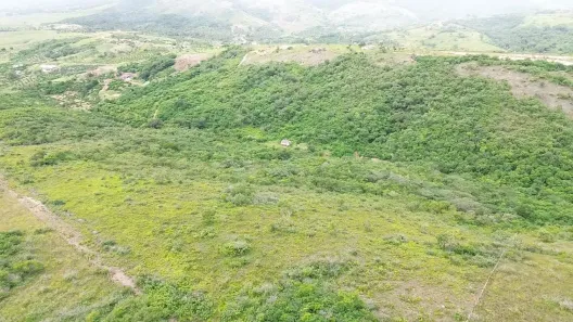 Fazenda / Sítio / Chácara com 2 Quartos à venda, 210000m² no , Pombos