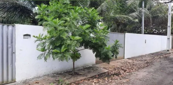 Fazenda / Sítio / Chácara com 2 Quartos à venda, 340m² no , Conde