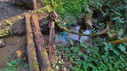 Fazenda / Sítio / Chácara à venda, 24000m² no Paiol de Baixo, Campina Grande do Sul