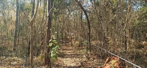 Terreno / Lote / Condomínio à venda, 20000m² no , Jaboticatubas