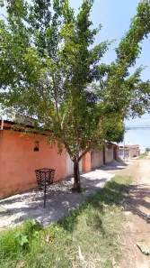 Casa com 2 Quartos para venda ou aluguel, 80m² no Pau Amarelo, Paulista