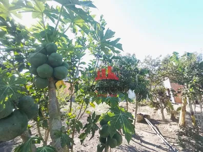 Fazenda / Sítio / Chácara com 2 Quartos à venda, 80m² no Centro (Tupi), Piracicaba