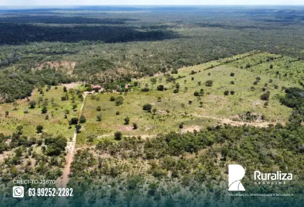 Fazenda / Sítio / Chácara à venda, 290m² no , Pium