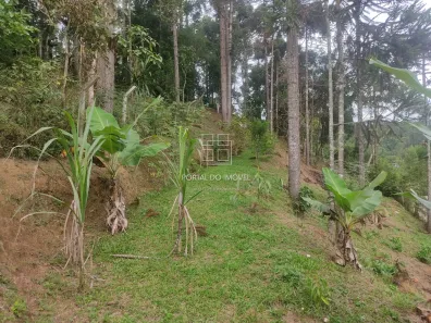 Terreno / Lote / Condomínio à venda, 562m² no , Campina Grande do Sul