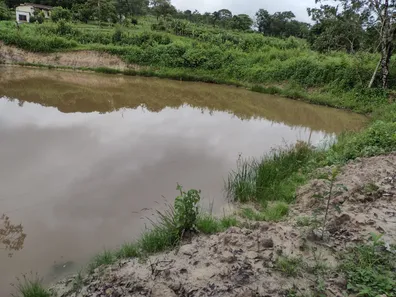 Terreno / Lote / Condomínio à venda, 20000m² no , Fortuna de Minas