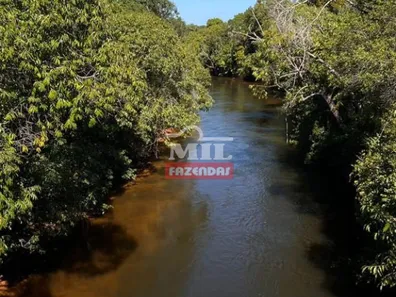 Fazenda / Sítio / Chácara à venda, 13000m² no , Ponte Alta do Tocantins