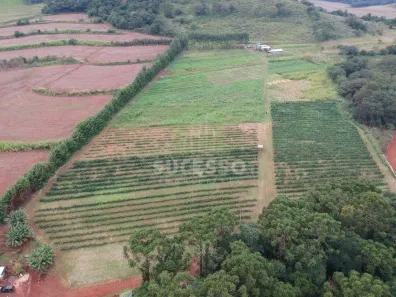 Fazenda / Sítio / Chácara à venda, 84089m² no Santa Felicidade, Cascavel