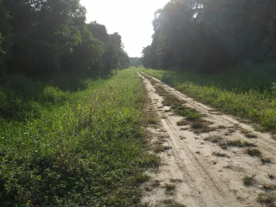 Terreno / Lote / Condomínio à venda, 5000m² no Praia do Ervino, São Francisco do Sul