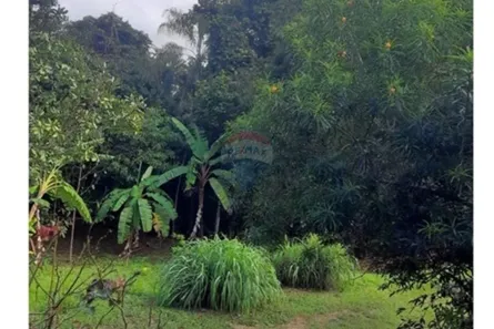 Fazenda / Sítio / Chácara com 4 Quartos à venda, 40000m² no Parque da Barragem Setor 08, Águas Lindas de Goiás