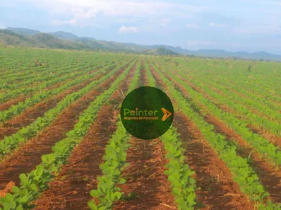 Fazenda / Sítio / Chácara à venda, 15972000m² no Área Rural de Gurupi, Gurupi