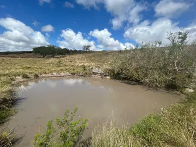Fazenda / Sítio / Chácara à venda, 230000m² no , Sairé