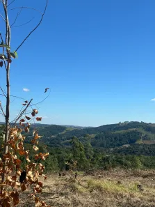 Fazenda / Sítio / Chácara à venda, 500m² no Campo Verde, Ibiúna