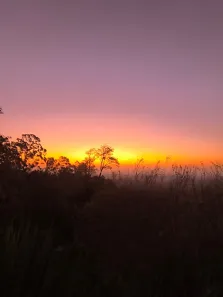Fazenda / Sítio / Chácara com 4 Quartos à venda, 500m² no Rio de Una, Ibiúna
