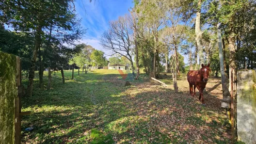 Fazenda / Sítio / Chácara com 2 Quartos à venda, 120m² no Área Rural de Araucária, Araucária