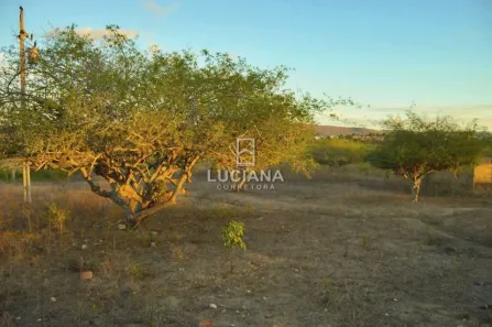 Fazenda / Sítio / Chácara à venda, 20000m² no Povoado Insurreição, Sairé