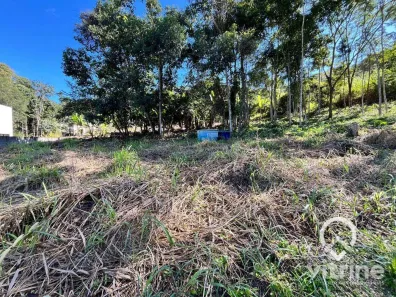 Terreno / Lote / Condomínio à venda, 3413m² no Bom Jardim, Bom Jardim