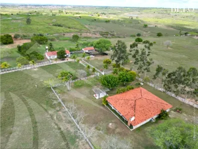 Fazenda / Sítio / Chácara à venda, 150000m² no , Feira Nova