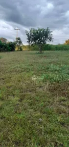 Fazenda / Sítio / Chácara à venda, 8228000m² no Presidente Kennedy, Presidente Kennedy
