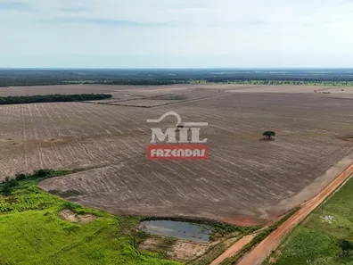 Fazenda / Sítio / Chácara à venda, 500m² no , Pium