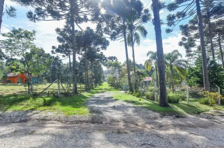 Fazenda / Sítio / Chácara à venda, 10000m² no Timbu, Campina Grande do Sul