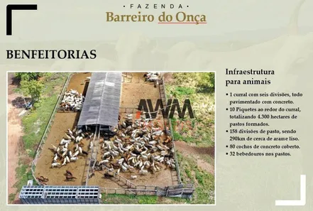 Fazenda / Sítio / Chácara à venda, 97000000m² no , Paranã
