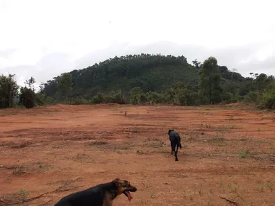 Fazenda / Sítio / Chácara com 3 Quartos à venda, 450m² no Parque Dom João VI, Nova Friburgo