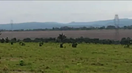 Fazenda / Sítio / Chácara à venda, 733m² no , Guaraí
