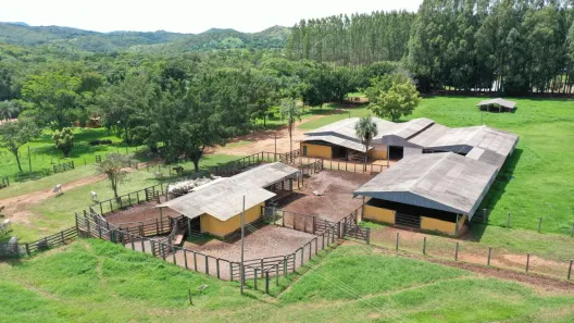 Fazenda / Sítio / Chácara com 4 Quartos à venda, 6000000m² no , Padre Bernardo