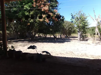 Fazenda / Sítio / Chácara com 3 Quartos à venda, 10000m² no Área Rural de Santo Antônio do Descoberto, Santo Antônio do Descoberto